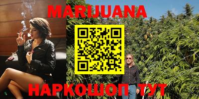 прущие грибы Пушкино