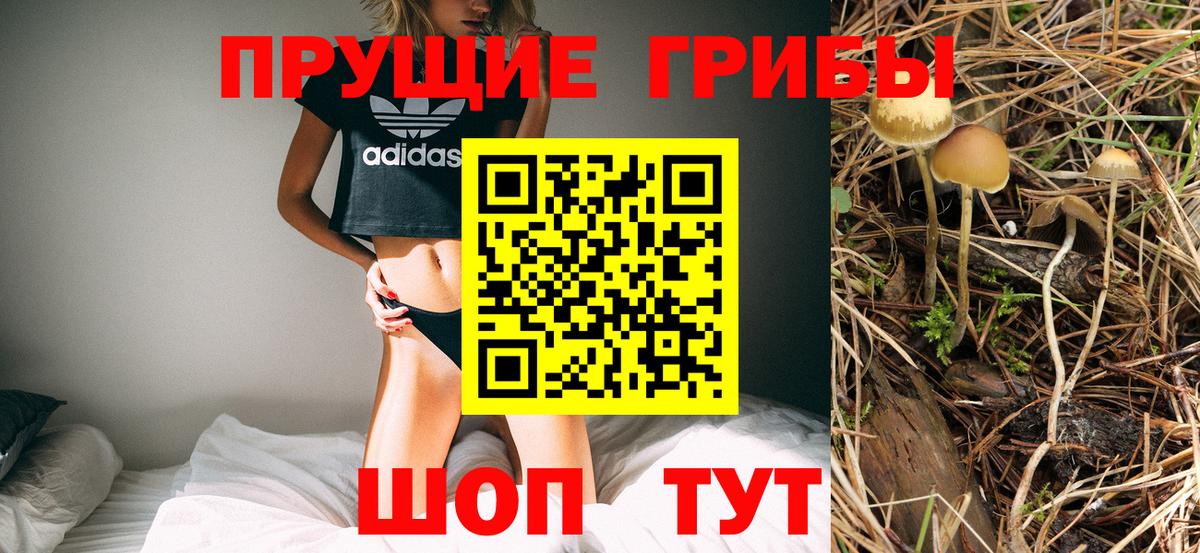 Сальск  Галлюциногенные грибы Cubensis  Вход с VPN 