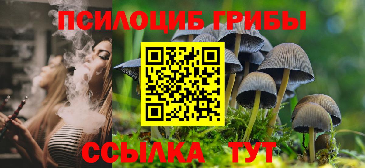 Псилоцибиновые грибы Magic Shrooms Сальск