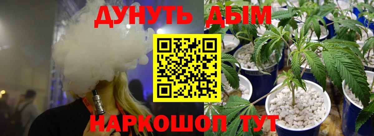 Бошки марихуана планчик  Канабис MAZAR  Сальск  Конопля планчик  Вход с VPN 